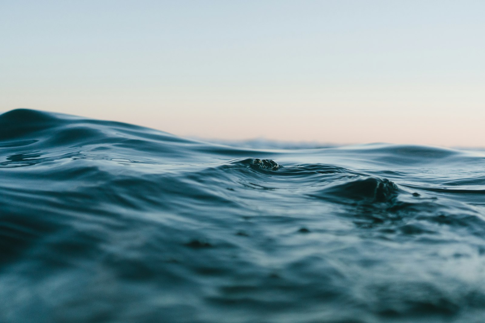 海の中